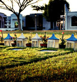 驱动卓越表现的DDOS在线攻击平台